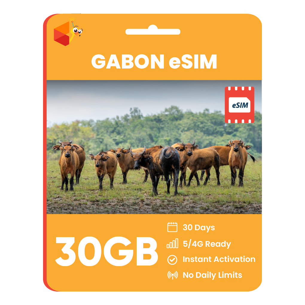 Gabon Data eSIM