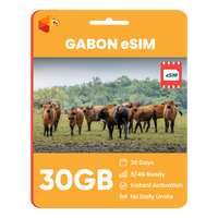 Thumbnail for Gabon Data eSIM
